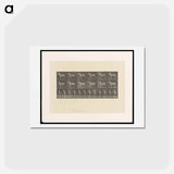 アートポストカード-Sulky Driver
 - エドワード マイブリッジ Postcard.