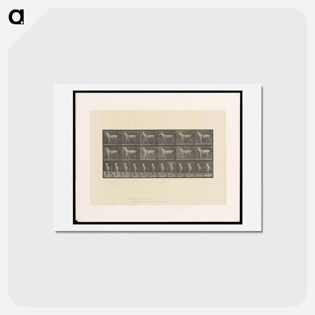 アートポストカード-Sulky Driver
 - エドワード マイブリッジ Postcard.