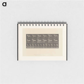 アートメモ帳-Sulky Driver
 - エドワード マイブリッジ Memo.