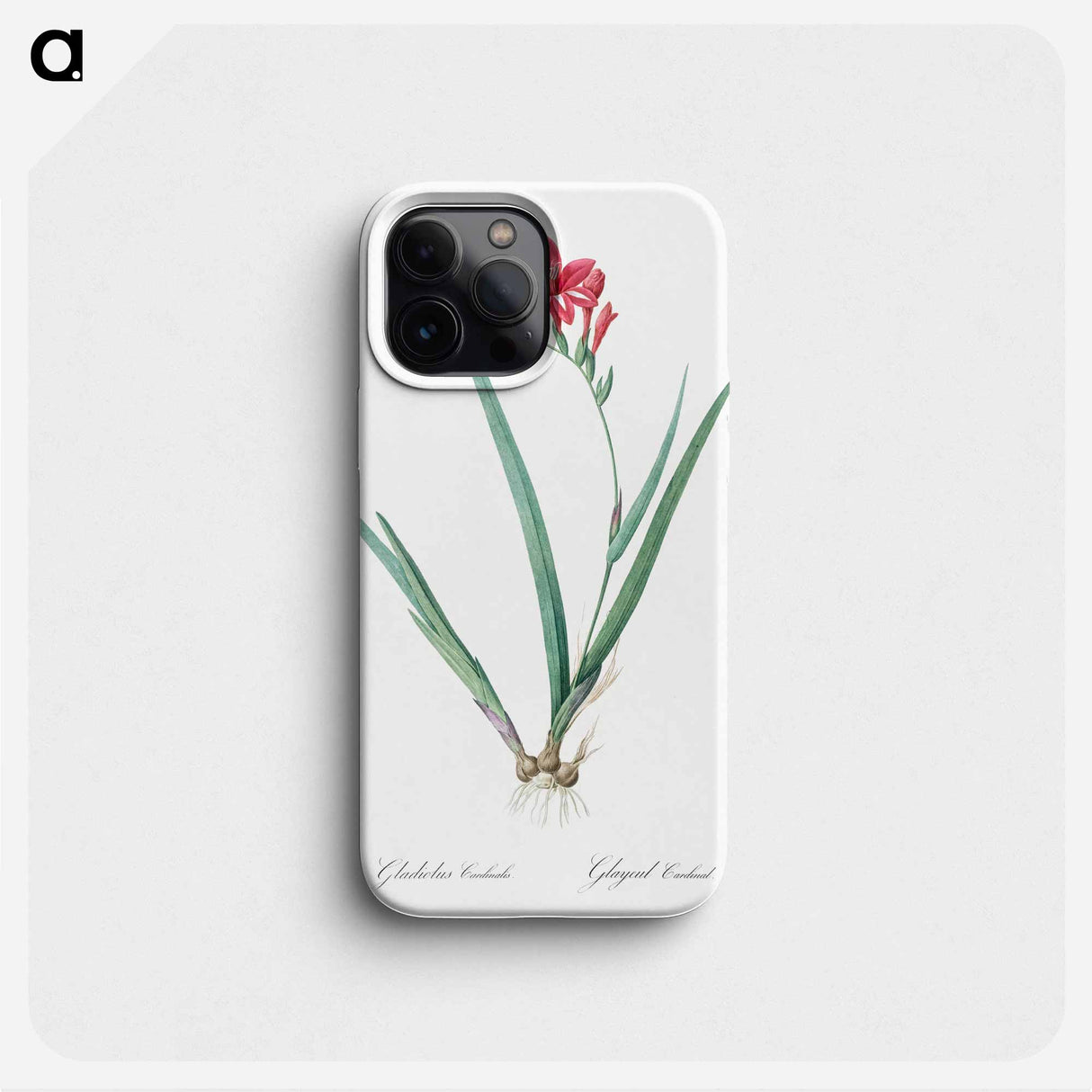 Gladiolus cardinalis illustration - Pierre Joseph Redouté Phone Case.