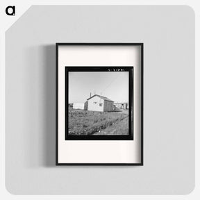アートポスター-Housing for rapidly growing settlement of lettuce workers on fringes of town. Salinas, California. - ドロテア ラング Poster.