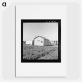 Housing for rapidly growing settlement of lettuce workers on fringes of town. Salinas, California. - Dorothea Lange Poster.