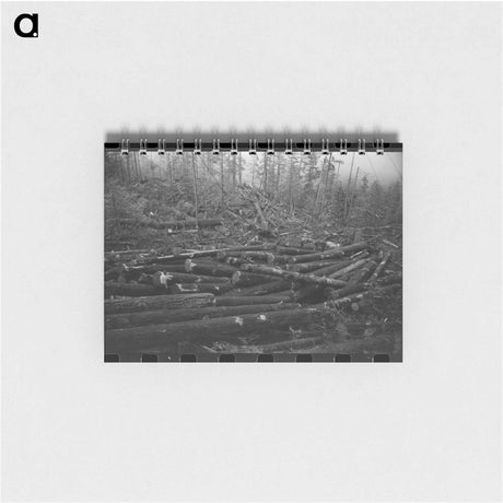 アートメモ帳-Logs on Railroad Cars
 - ラッセル リー Memo.
