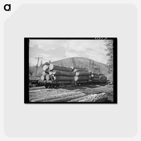 アートポストカード-Logs on Railroad Cars
 - ラッセル リー Postcard.