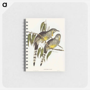 アートメモ帳-Great Wattled Honey-eater
 - ジョン グールド Memo.