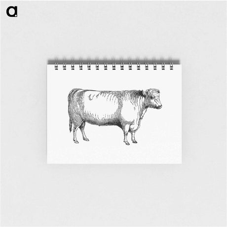 アートメモ帳-Shorthorn Bull
 - 大英図書館 Memo.