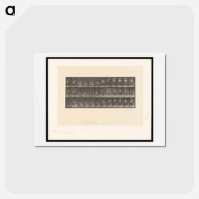 アートポストカード-Woman with Basket
 - エドワード マイブリッジ Postcard.