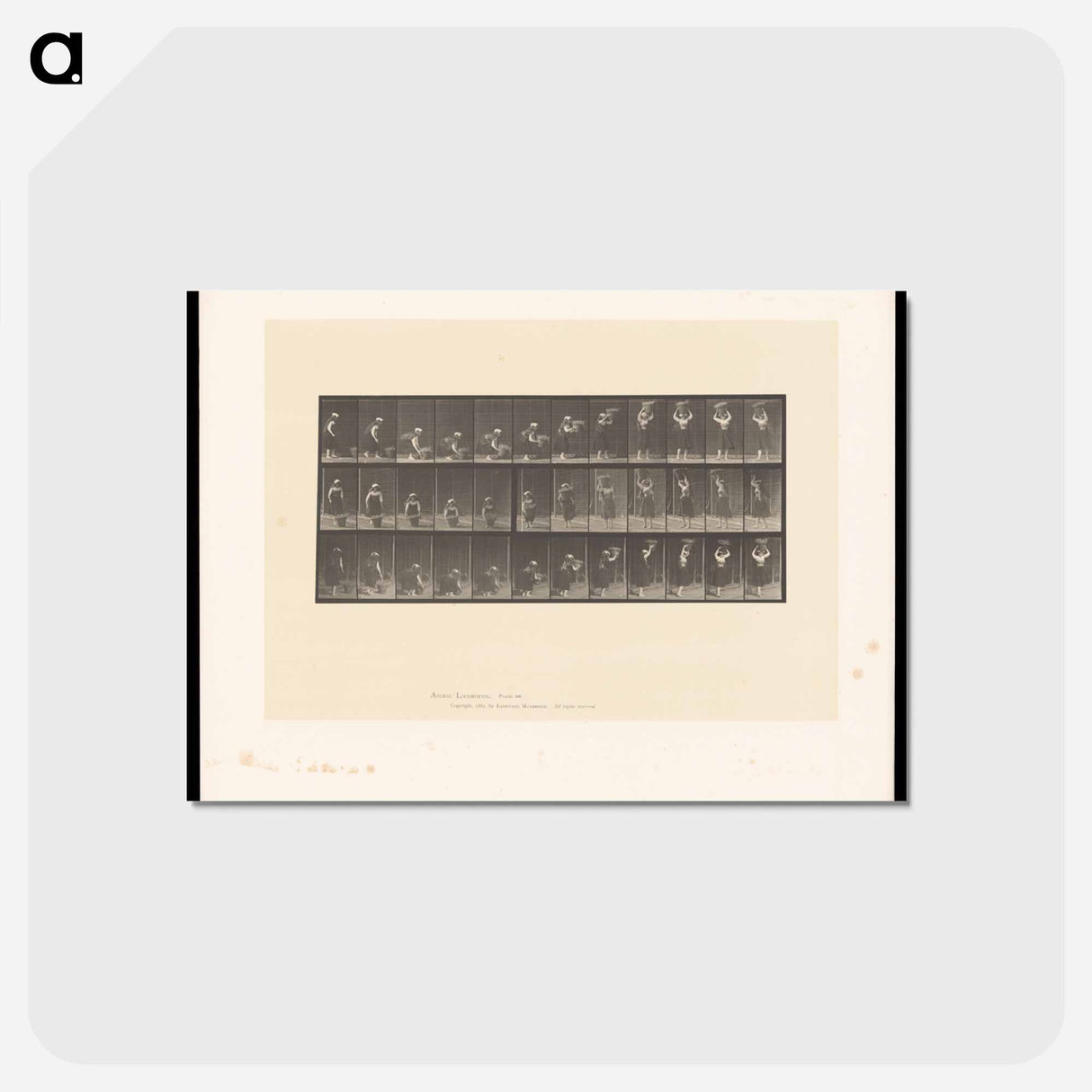 アートポストカード-Woman with Basket
 - エドワード マイブリッジ Postcard.