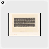 アートポストカード-Woman with Basket
 - エドワード マイブリッジ Postcard.