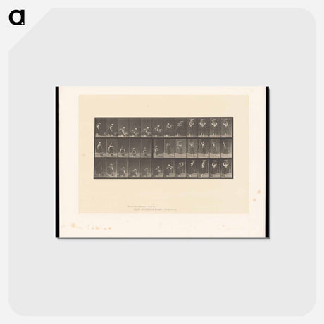 アートポストカード-Woman with Basket
 - エドワード マイブリッジ Postcard.