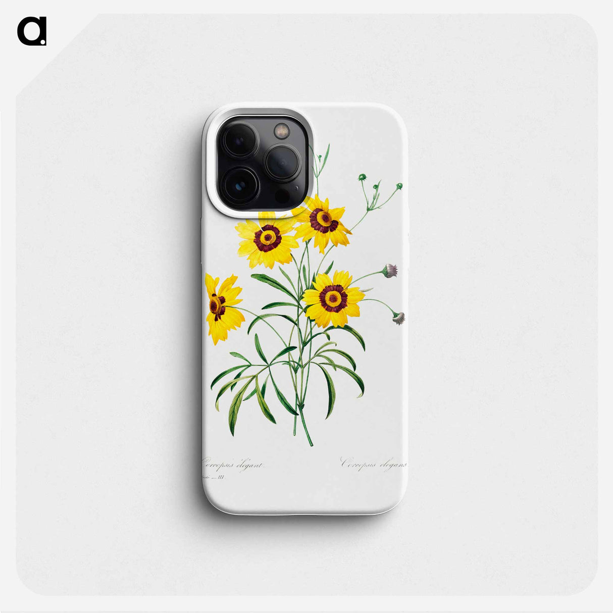 Tickseed - Pierre Joseph Redouté Phone Case.