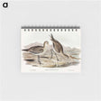 アートメモ帳-Barred-rumped Godwit
 - オーストラリアの鳥 Memo.
