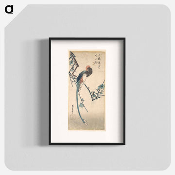 Long Tailed Bird
 - 歌川 広重 Poster.