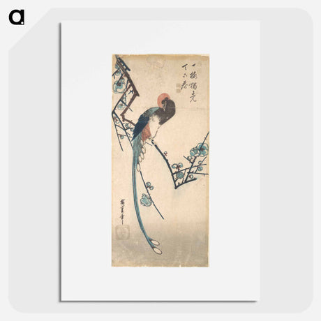 アートポスター-Long Tailed Bird
 - 歌川 広重 Poster.