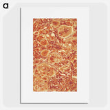 アートポスター-Decorative Paper, from The History of Scotland
 - 大英図書館 Poster.