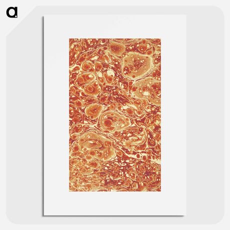 アートポスター-Decorative Paper, from The History of Scotland
 - 大英図書館 Poster.