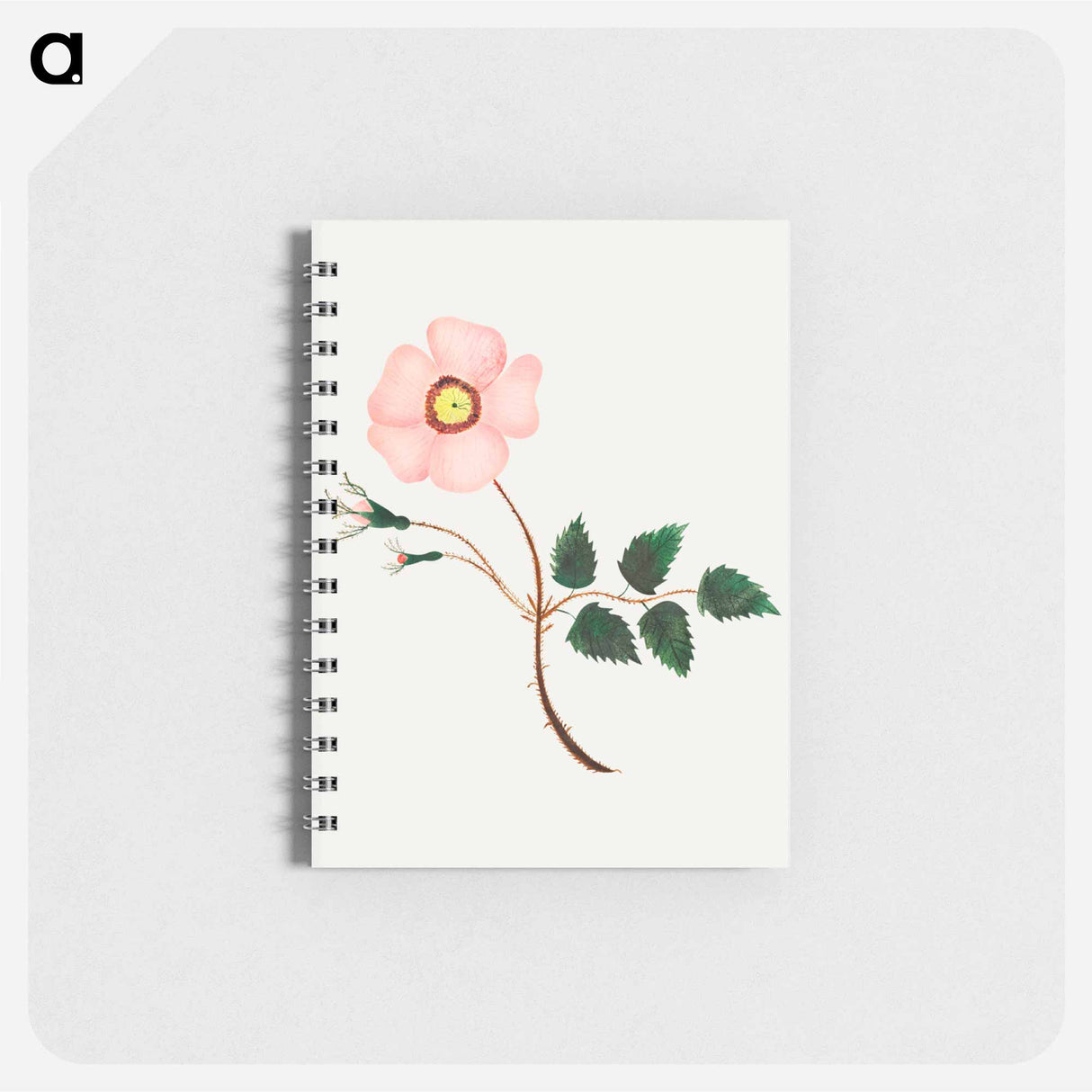 アートメモ帳-Wild Rose
 - クリーブランド美術館 Memo.