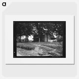 Untitled photo - Dorothea Lange Poster.