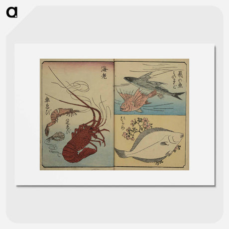 アートポスター-Picture Book for the Practice of Drawing Fish
 - 歌川 広重 Poster.