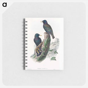 アートメモ帳-Sturnur Vulgaris
 - クリーブランド美術館 Memo.