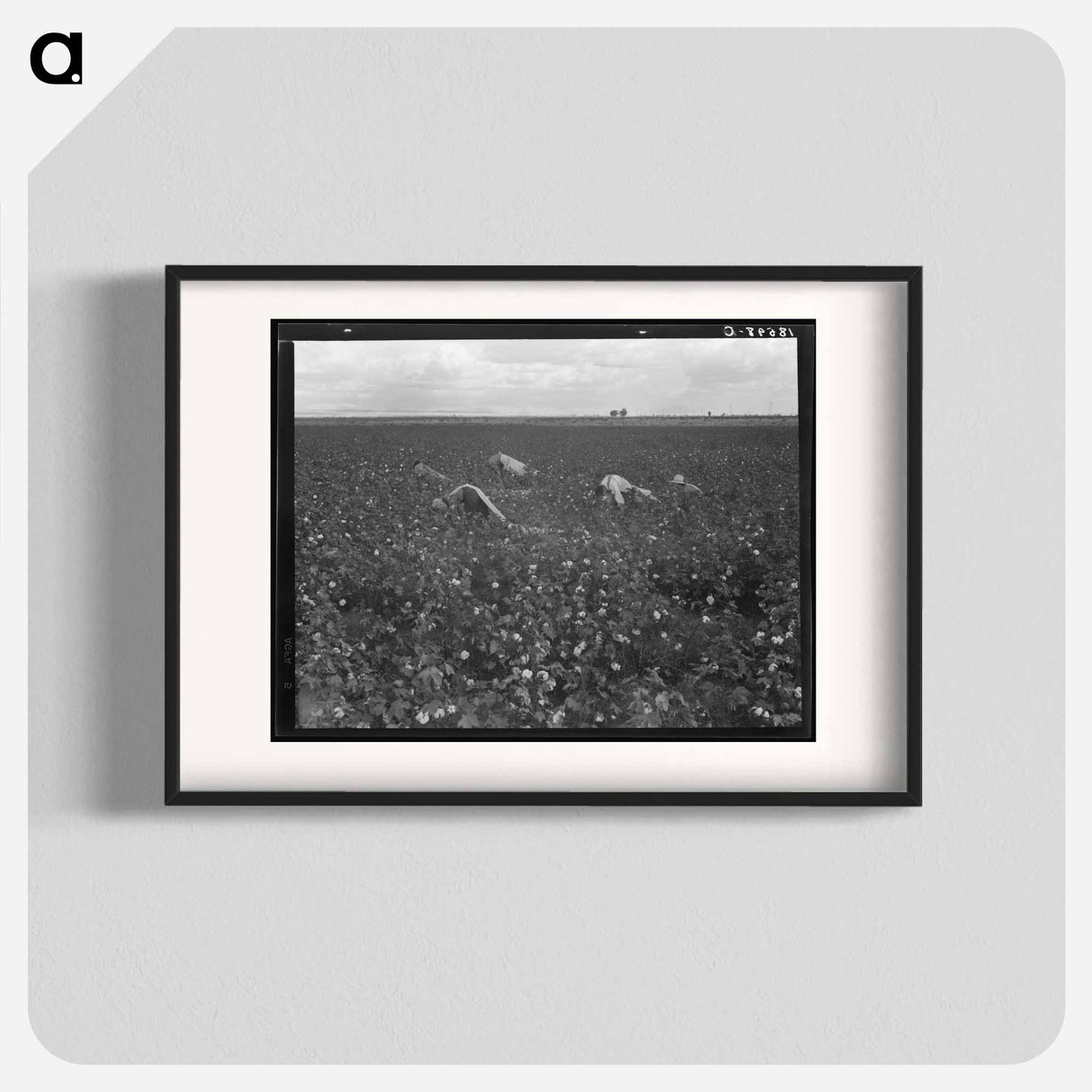 Untitled photo - Dorothea Lange Poster.