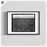 Untitled photo - Dorothea Lange Poster.