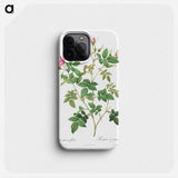 Wild Rose - ピエール ジョゼフ ルドゥーテ Phone Case.