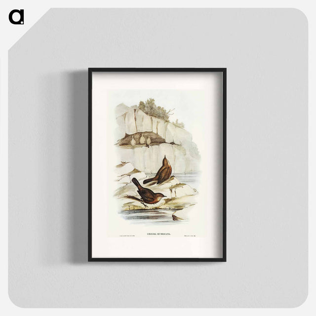 アートポスター-Rock Warbler
 - オーストラリアの鳥 Poster.