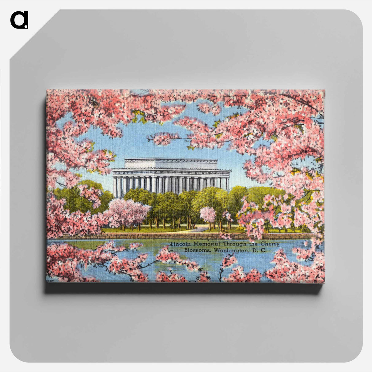 アートパネル-Lincoln Memorial Cherry Blossoms
 - ボストン公共図書館 Canvas.