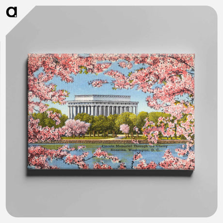アートパネル-Lincoln Memorial Cherry Blossoms
 - ボストン公共図書館 Canvas.
