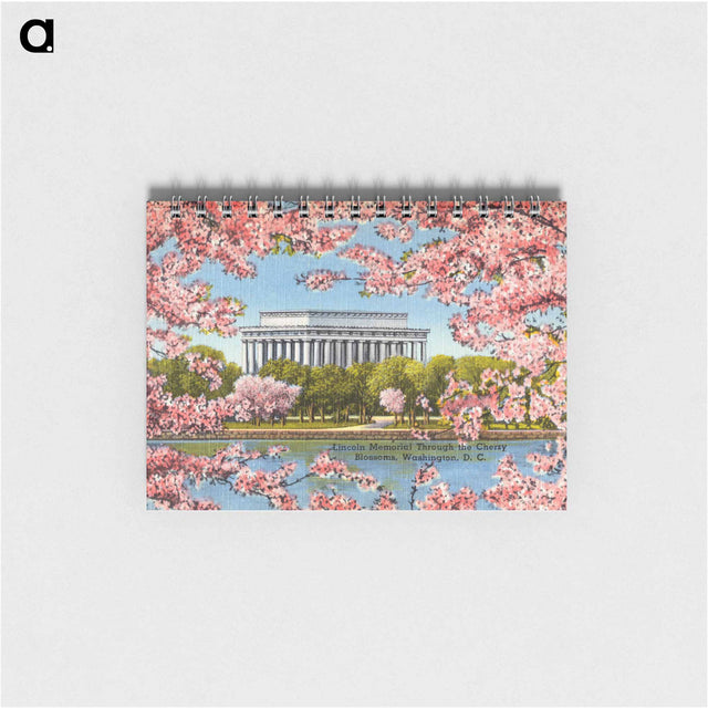 アートメモ帳-Lincoln Memorial Cherry Blossoms
 - ボストン公共図書館 Memo.