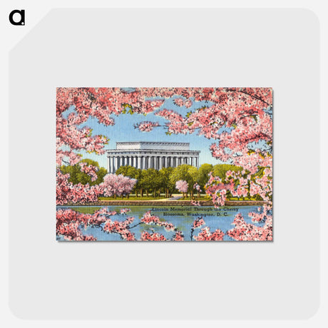 アートポストカード-Lincoln Memorial Cherry Blossoms
 - ボストン公共図書館 Postcard.