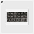 アートポストカード-Sidesaddle
 - エドワード マイブリッジ Postcard.