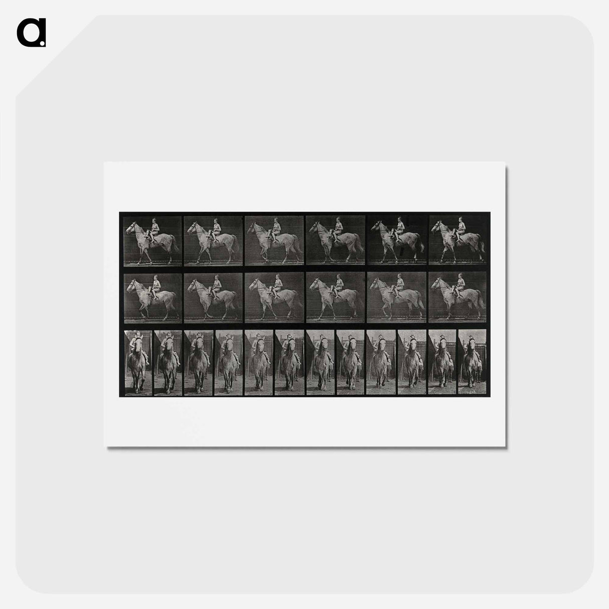 アートポストカード-Sidesaddle
 - エドワード マイブリッジ Postcard.