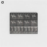 アートメモ帳-Sidesaddle
 - エドワード マイブリッジ Memo.