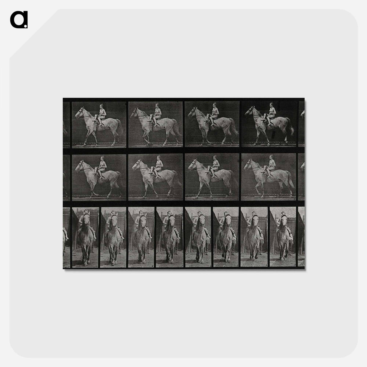 アートポストカード-Sidesaddle
 - エドワード マイブリッジ Postcard.