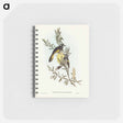 アートメモ帳-New Holland Honey-eater
 - オーストラリアの鳥 Memo.