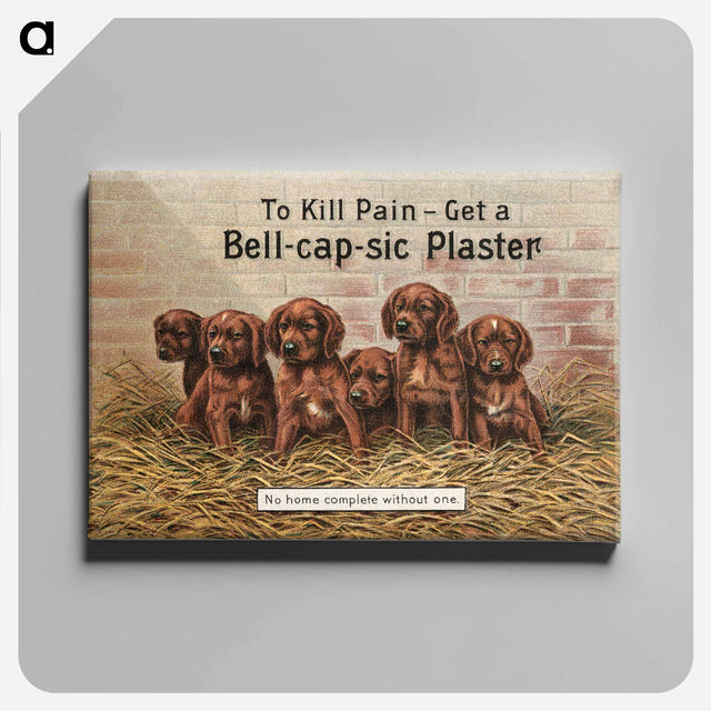 アートパネル-Bell-cap-sic Plaster
 - ボストン公共図書館 Canvas.