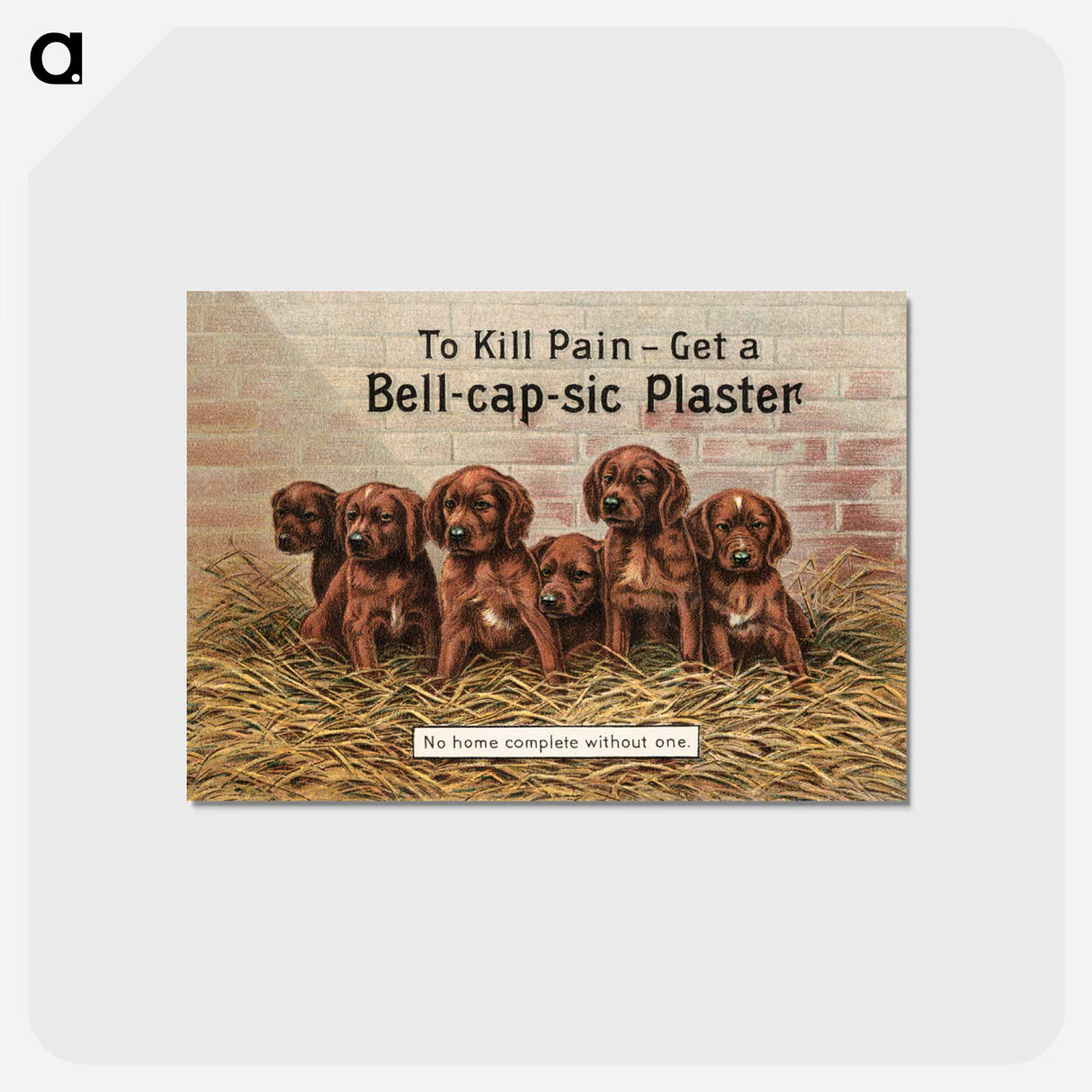 アートポストカード-Bell-cap-sic Plaster
 - ボストン公共図書館 Postcard.