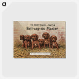 アートポストカード-Bell-cap-sic Plaster
 - ボストン公共図書館 Postcard.
