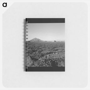 アートメモ帳-Untitled photo - ドロテア ラング Memo.