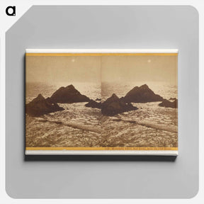 アートパネル-Moonlight Effect, Seal Rocks
 - エドワード マイブリッジ Canvas.