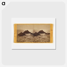 アートポストカード-Moonlight Effect, Seal Rocks
 - エドワード マイブリッジ Postcard.