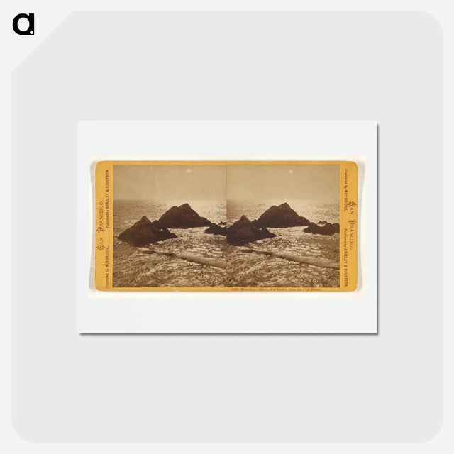 アートポストカード-Moonlight Effect, Seal Rocks
 - エドワード マイブリッジ Postcard.