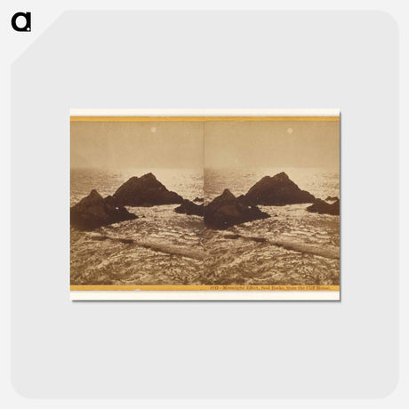 アートポストカード-Moonlight Effect, Seal Rocks
 - エドワード マイブリッジ Postcard.