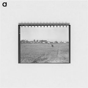 アートメモ帳-Farm Security Administration (FSA) migratory labor camp. Brawley, California. Plenty of space for children to play is provided. - ドロテア ラング Memo.