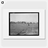 Farm Security Administration (FSA) migratory labor camp. Brawley, California. Plenty of space for children to play is provided. - Dorothea Lange Poster.