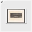 アートポストカード-Rising Nude
 - エドワード マイブリッジ Postcard.