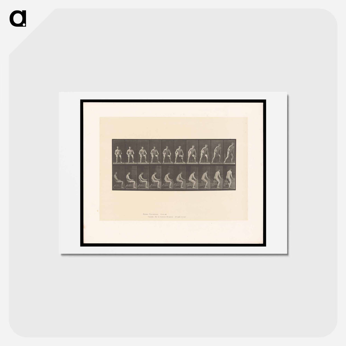 アートポストカード-Rising Nude
 - エドワード マイブリッジ Postcard.