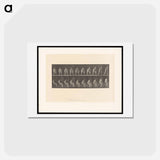 アートポストカード-Rising Nude
 - エドワード マイブリッジ Postcard.